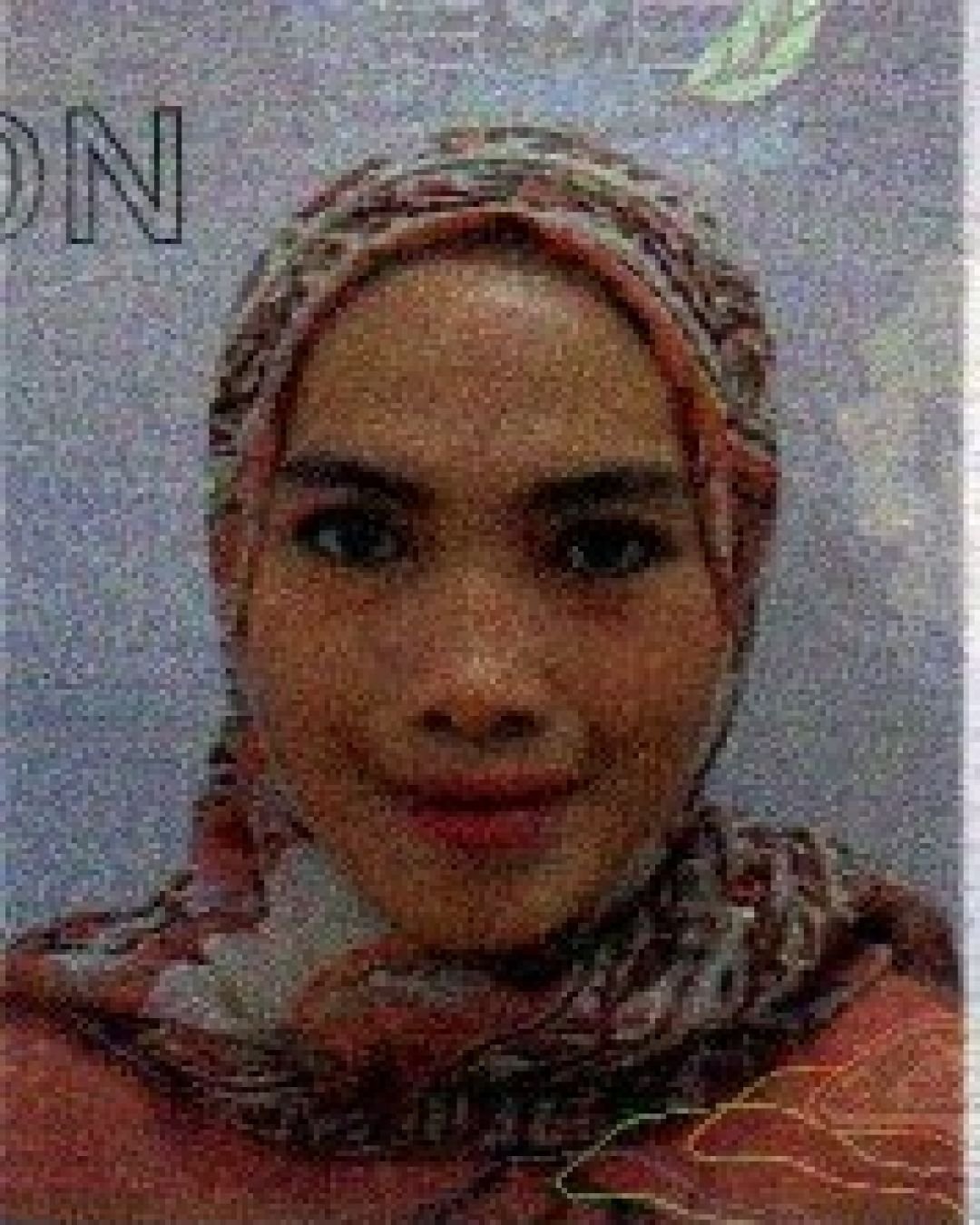 Hj Andi Ayu